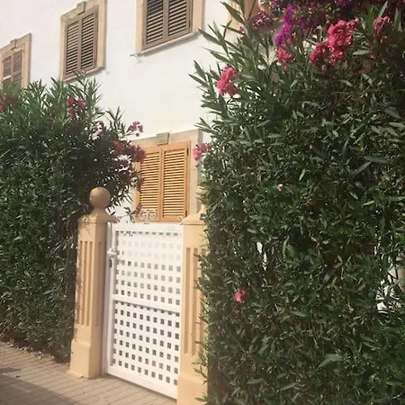 Bajo En Primera Línea De Playa * Dénia